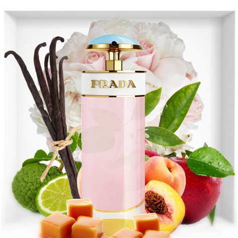 prada candy neuer duft sugar pop weiterempfehlung|prada candy sugar pop.